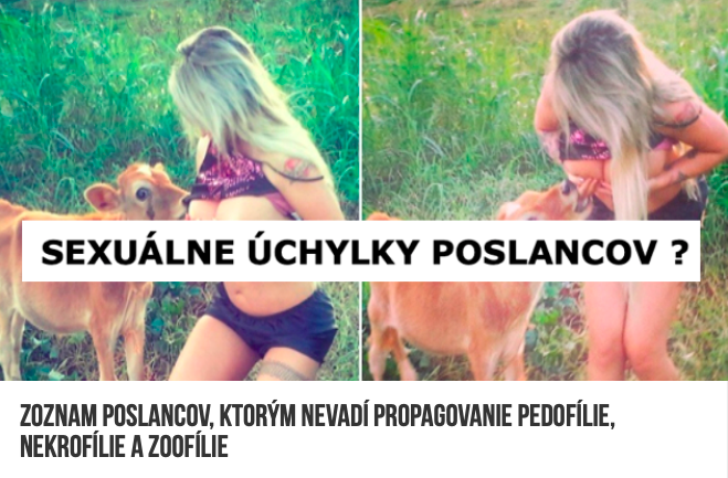 Snímka obrazovky 2019 12 30 o 16.13.42 Propagovanie pedofílie, nekrofílie a zoofílie bude od januára novým trestným činom